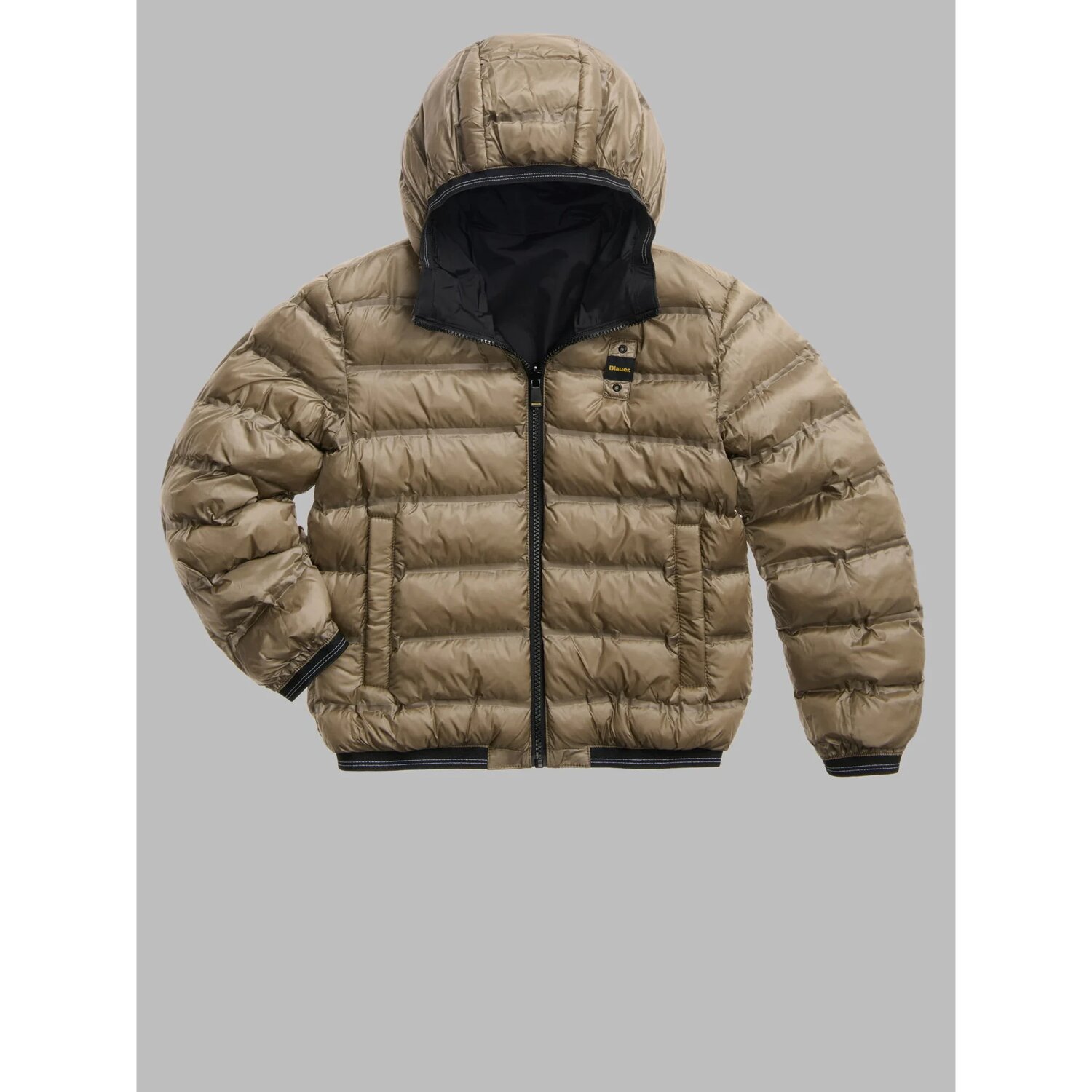 Blauer Giubbotto M. DONALD 6278